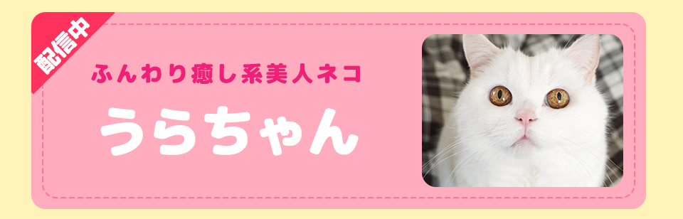 動物スタンプ
