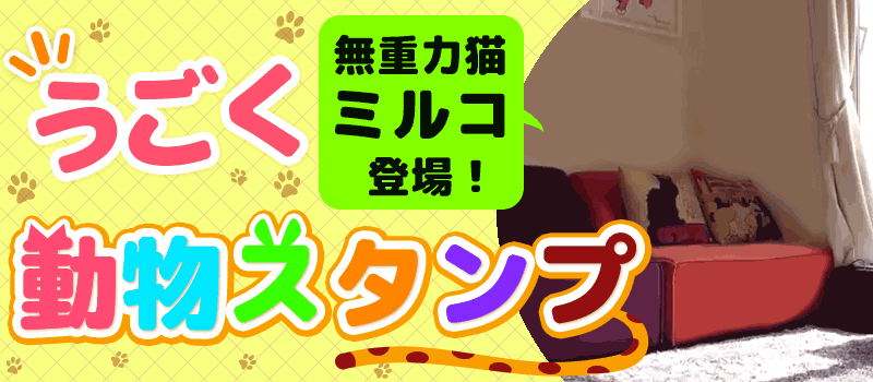 特集logo