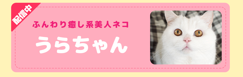 動物スタンプ