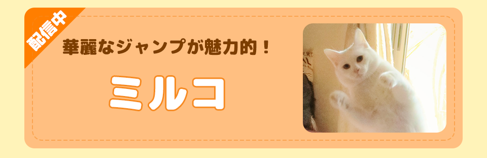 動物スタンプ