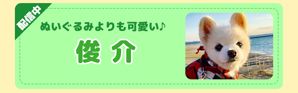 動物スタンプ